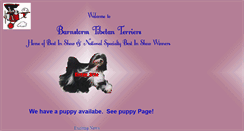 Desktop Screenshot of barnstormstibetans.com